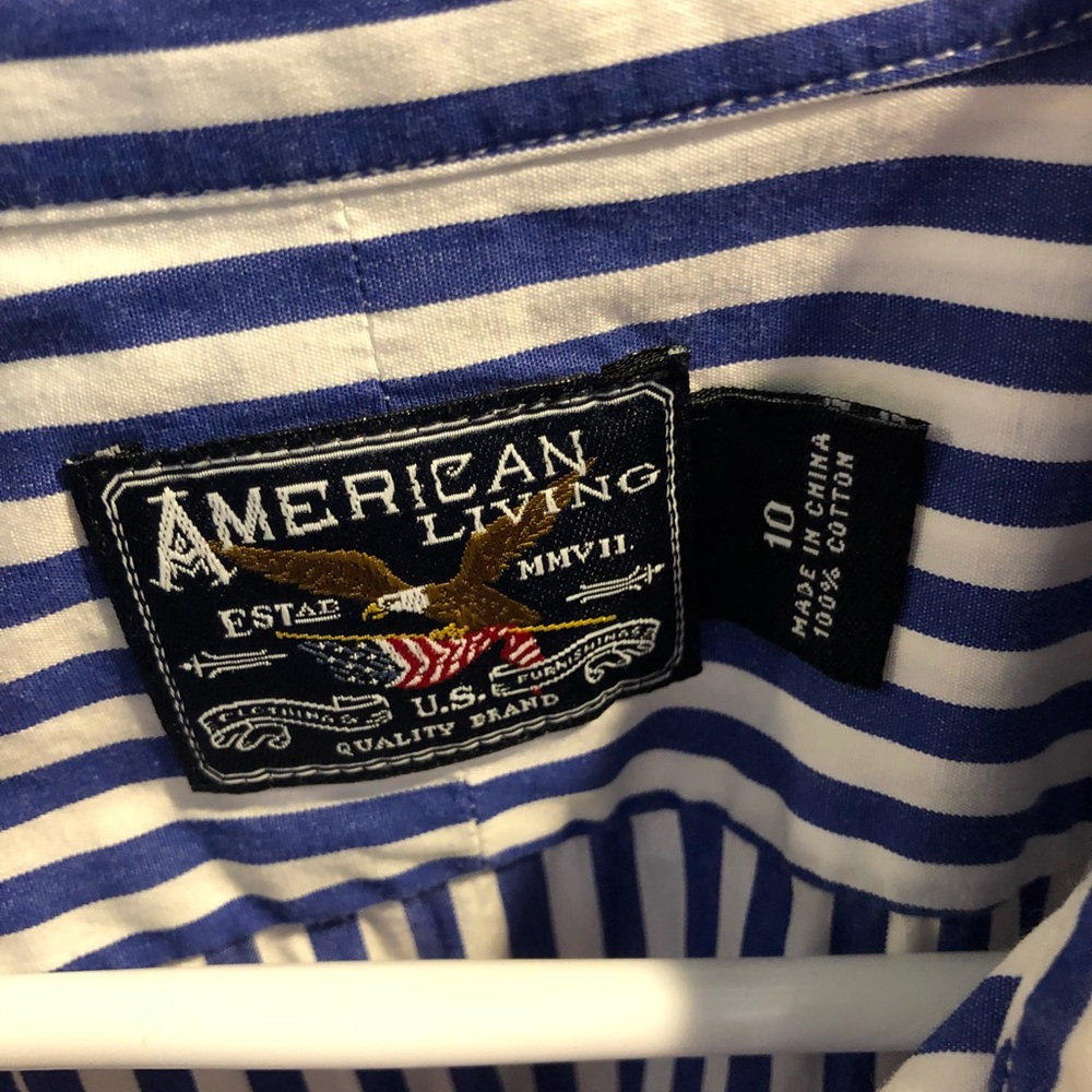 Blue Striped American theme dress - Picture 3 of 4